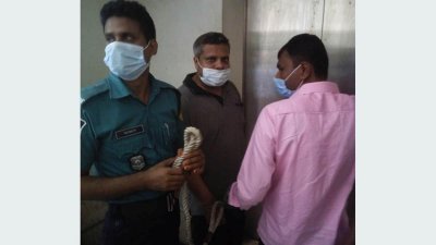 আদালতে পুলিশের হেফাজতে সাহেদ
