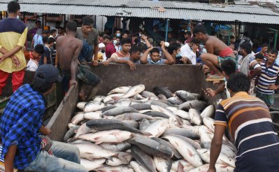 মরে যাওয়া মাছ নিয়ে বাজারে ভিড় করেন ব্যবসায়ীরা