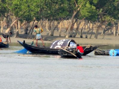 মৎস্য শিকারে ব্যস্ত সুন্দরবনের জেলেরা 