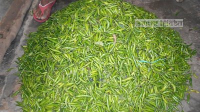আমদানির কাঁচামরিচ