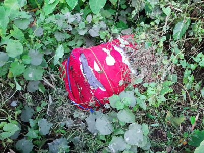 ঝোপে পড়ে থাকা ব্যাগ