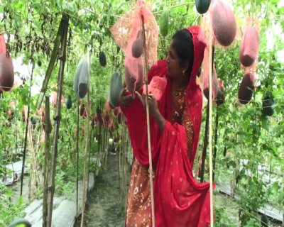 বাগানে কাজ করছেন সালমা