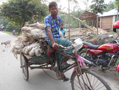 এবার পাটের ফলন ভালো, দামও ভালো