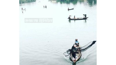 চলছে জাল দিয়ে মাছ শিকার 