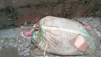 লিকেজ হওয়া গ্যাস পাইপলাইনে বালু ফেলার পরও দিয়াশলাই কাঠি জ্বালালে আগুন ধরে যাচ্ছে 
