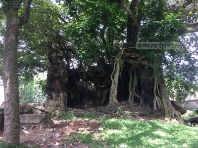 কুষ্টিয়ার মিরপুরে প্রায় ২৫০ বছরের প্রাচীন কালী মন্দির