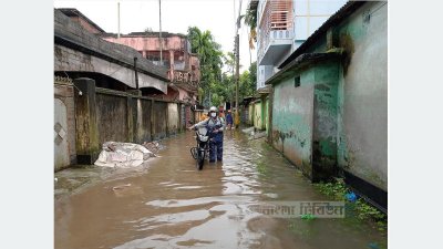 নীলফামারীর বাবুপাড়া মহল্লার সড়কে জমে গেছে পানি।