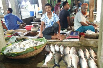 মাছ আমদানি বন্ধ হলে দেশের চাষিরা লাভবান হবে