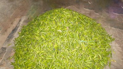 বাজারের কাঁচা মরিচ 