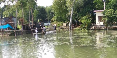 পানিবন্দি লোকজন