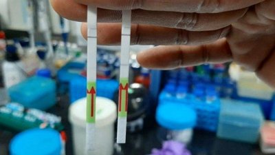 করোনা পরীক্ষায় ‘গেম চেঞ্জার’ হতে পারে ‘ফেলুদা’