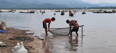 নদী থেকে কয়লা সংগ্রহ চলছে