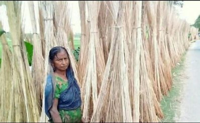 পাটখড়ি
