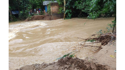 ভাঙন কবলিত একটি এলাকা 