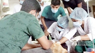 শের-ই-বাংলা মেডিক্যাল কলেজ হাসপাতালে কাজে ফিরেছেন ইন্টার্ন চিকিৎসকরা।