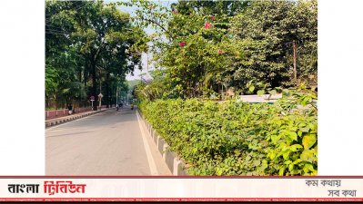 প্রায় ১২ কোটি টাকা ব্যয়ে নগরীর ১১ কিলোমিটার সড়ক বিভাজকে ফুলগাছ লাগানো হয়