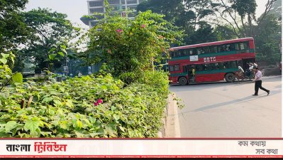 সড়কের জঞ্জালে পরিণত হওয়া ফুলের গাছগুলো ফের সৌন্দর্য্য বর্ধনে ভূমিকা রাখতে শুরু করেছে
