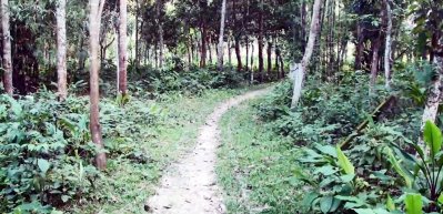 বাল্লা স্থলবন্দর এলাকা 