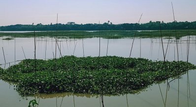 মধুমতি বাঁওড় 