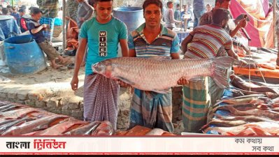 মেলায় নানা প্রজাতির মাছ