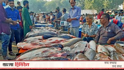মেলায় নানা প্রজাতির মাছ