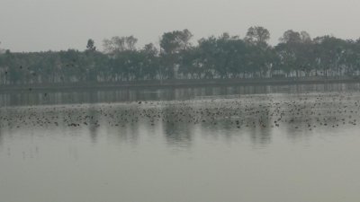  নীলসাগর দিঘি 