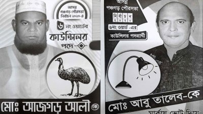 কাউন্সিলরের পদ নিয়ে দুই ভাইয়ের লড়াই