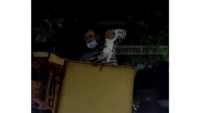 মেয়রের উদ্যোগে বিড়াল ছানা উদ্ধার
