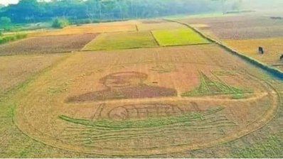 কৃষকের আঁকা বঙ্গবন্ধুর প্রতিকৃতি, স্মৃতিসৌধ, নৌকা ও শাপলার ছবি 