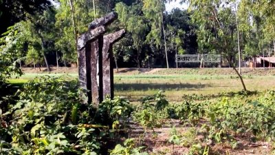 রানীশংকৈল বধ্যভূমিতে গড়া স্মৃতিস্তম্ভ আগাছায় ভরে আছে।