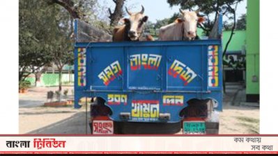 এই ট্রাক থেকে ইয়াবাগুলো উদ্ধার করা হয়