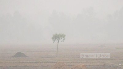 দুপুরের রোদে থাকে না শীত তাড়ানোর মতো তীব্রতা।