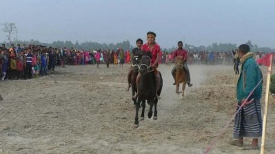 বিরামপুরে গ্রাম বাংলার ঐতিহ্যবাহী ঘোড়দৌড়