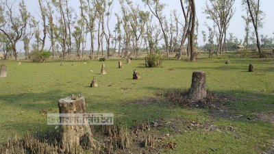 জাতীয় উদ্যান-সংরক্ষিত বনাঞ্চল যখন ইউনিয়ন পরিষদ!