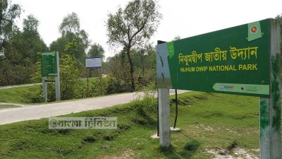 নিঝুম দ্বীপকে জাতীয় উদ্যান ও তার আশপাশের বিস্তীর্ণ এলাকাকে সংরক্ষিত বনাঞ্চল হিসেবে ঘোষণা করা হয়