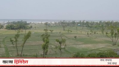 জাতীয় উদ্যান নিঝুম দ্বীপের ভেতরের চিত্র