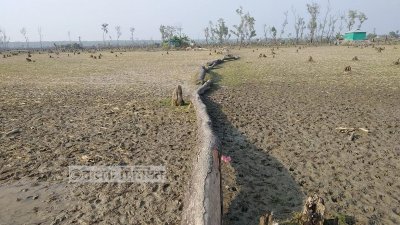 জাতীয় উদ্যান-সংরক্ষিত বনাঞ্চল যখন ইউনিয়ন পরিষদ!