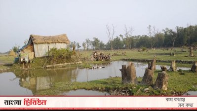 জাতীয় উদ্যানের ভেতরে বন উজাড় করে মানববসতি