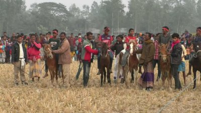 ঘোড় দৌড় প্রতিযোগিতা