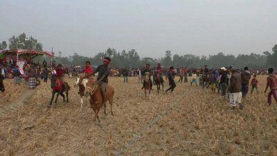 ঘোড় দৌড় প্রতিযোগিতা