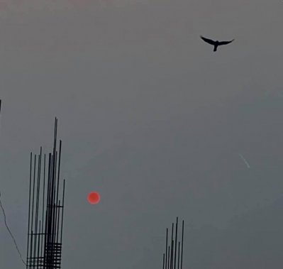 তবু অনন্ত জাগে 