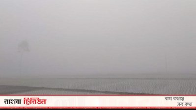 কুয়াশার চাদরে মোড়া প্রকৃতি