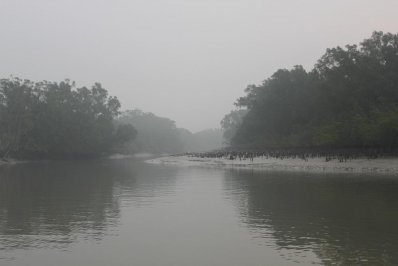 সুন্দরবন