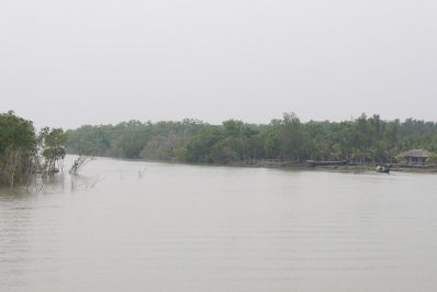 সুন্দরবন