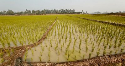 আশুড়ার বিল