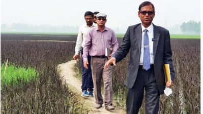 শস্যচিত্র পরিদর্শনে গিনেস বুক অব ওয়ার্ল্ড রেকর্ডসের দুই প্রতিনিধি 