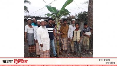 মনোনয়ন না পাওয়ায় কলা গাছ লাগিয়ে প্রতিবাদ