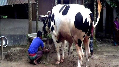 আদর করে &lsquo;বস&rsquo; আর &lsquo;বিগ বস&rsquo; নাম দিয়েছেন বাবুল হোসেন