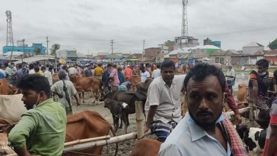 লকডাউনে শরীয়তপুরে বসেছে পশুর হাট
