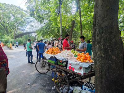 লেকপাড়জুড়ে রয়েছে এমন নানা ফলের পসরা